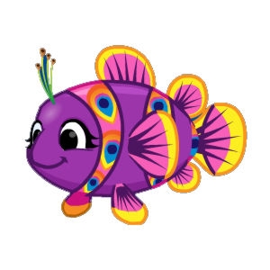 Purple Peacock Clowntot